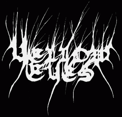 logo Yellow Eyes logo Yellow Eyes